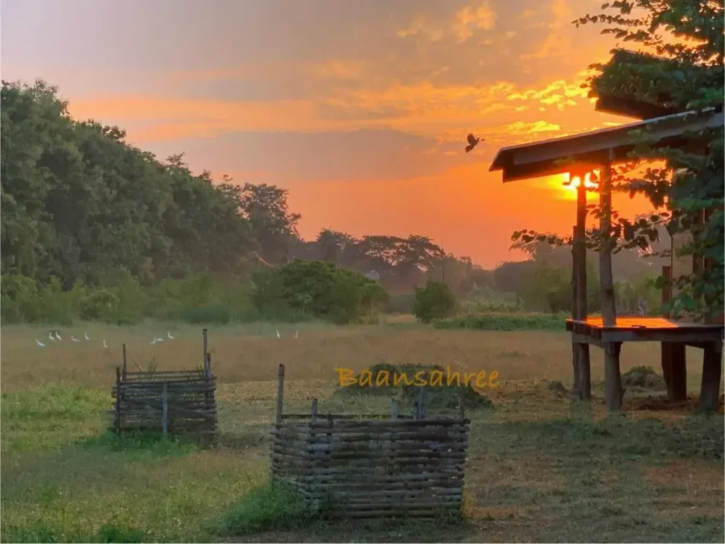Baansahree Farmstay - Uthai Thani Thailand