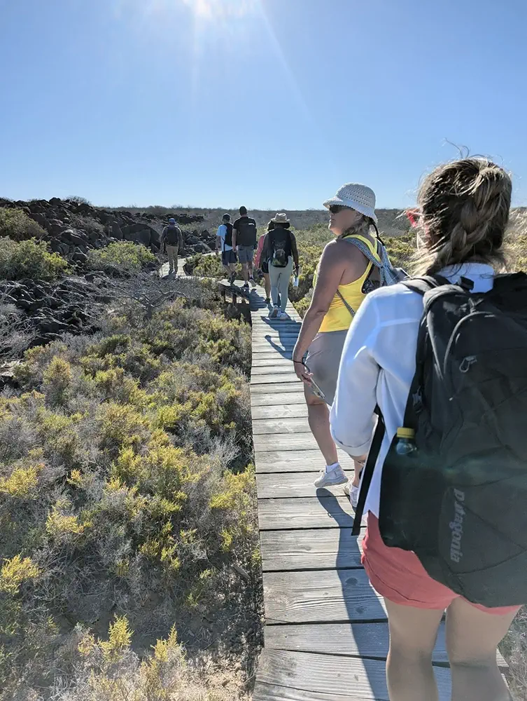 Boardwalks in Isla Coronado Loreto