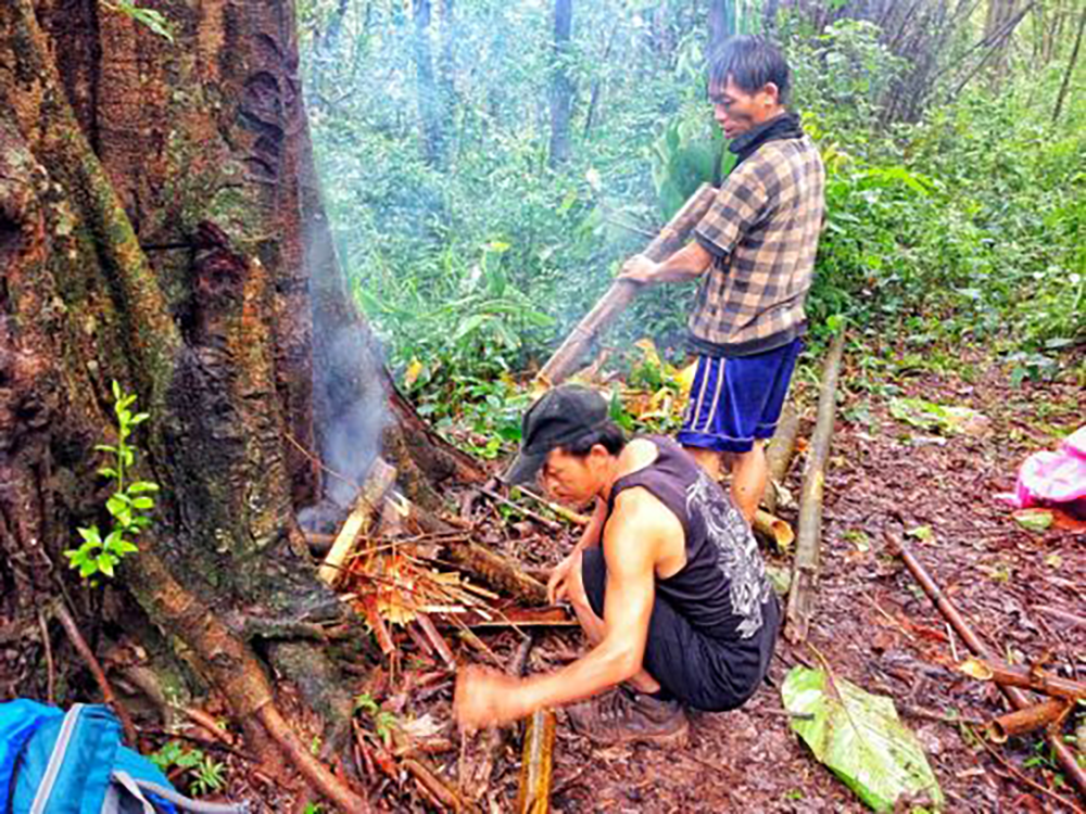 Collected wood for a fire in Luang Namtha Laos