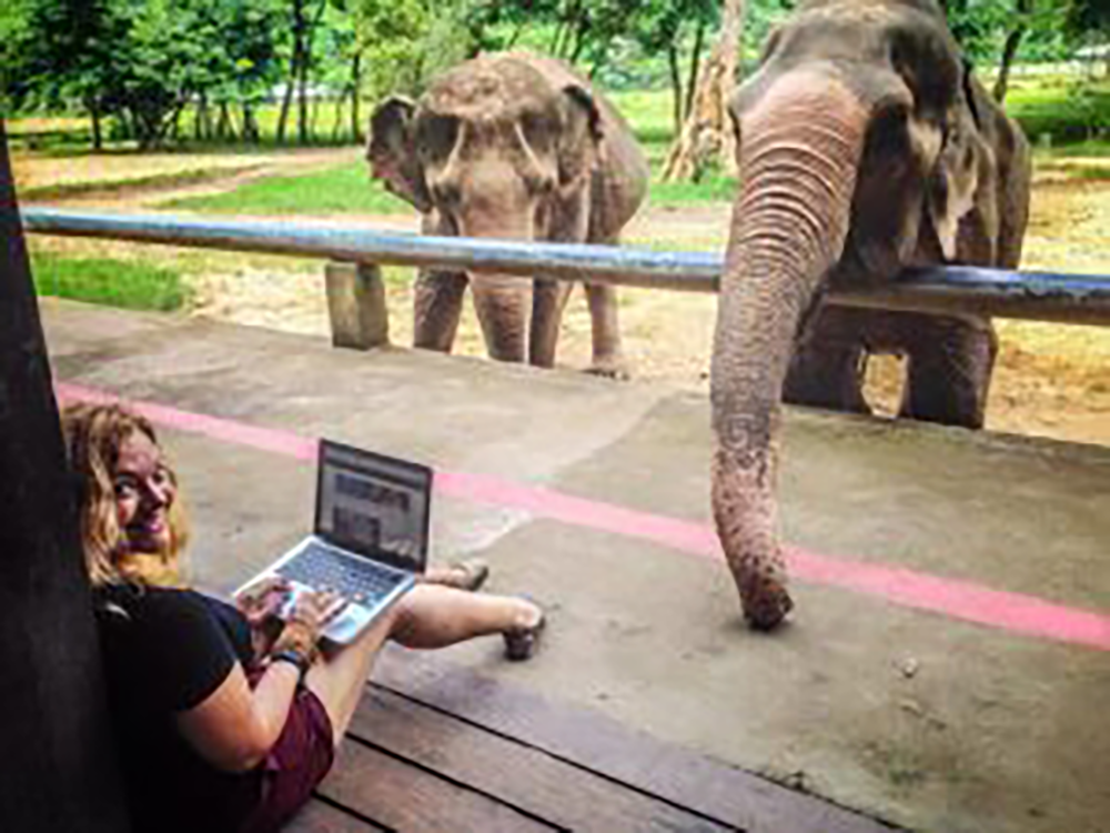 Diana hard at work with the Elephants of Save Elephant Foundation