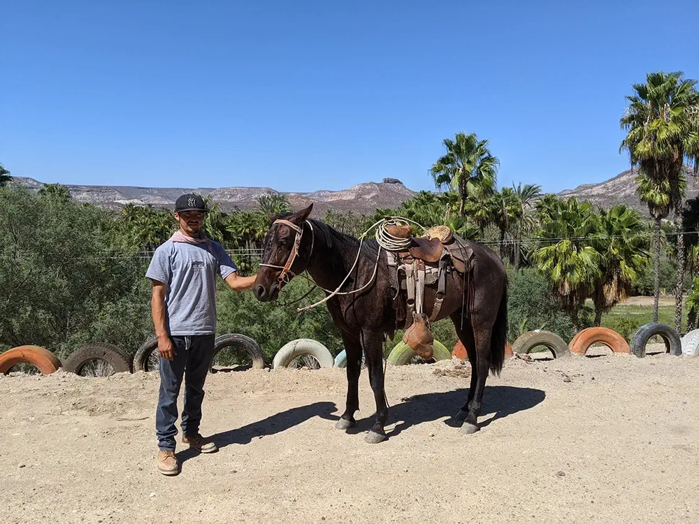 Friendly local with a horse in La Purisima BCS