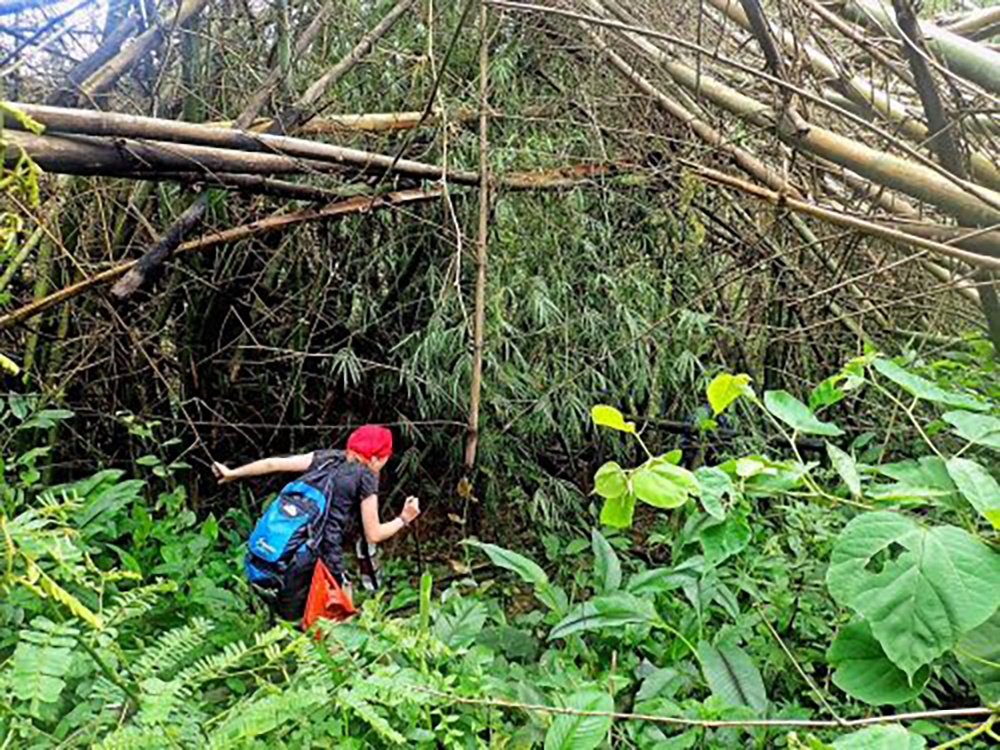 Headed into the jungle hill tribe trekking in Luang Namtha Laos