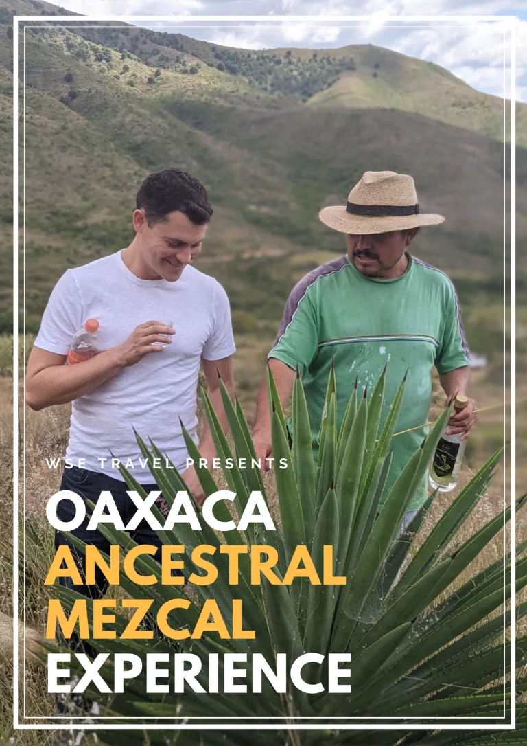 learn about ancestral mezcal and visit a palenque in Oaxaca, Mexico