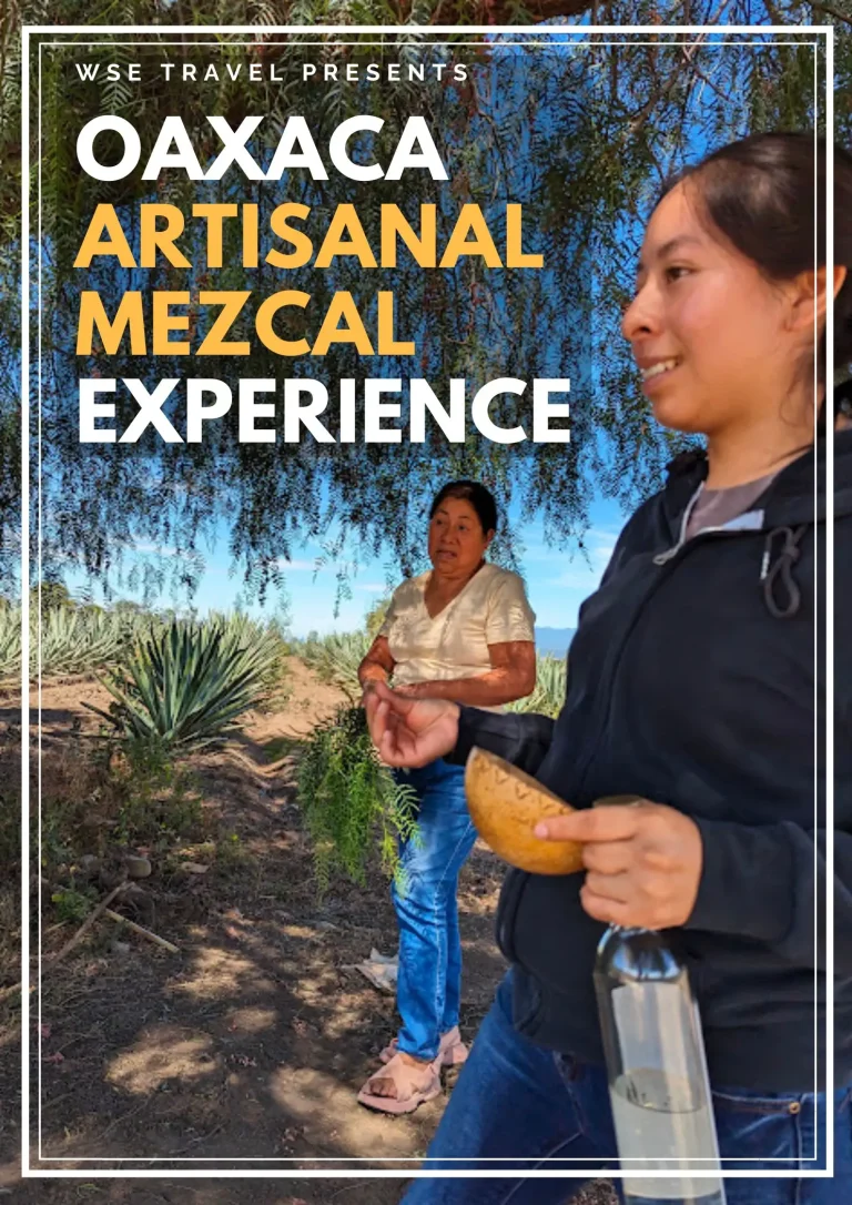 Oaxaca Artisanal Mezcal Tour