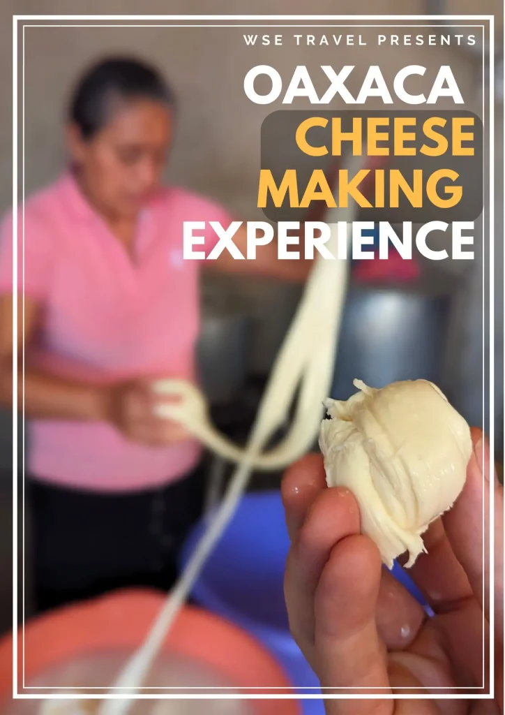 Oaxaca Cheese Making Experience