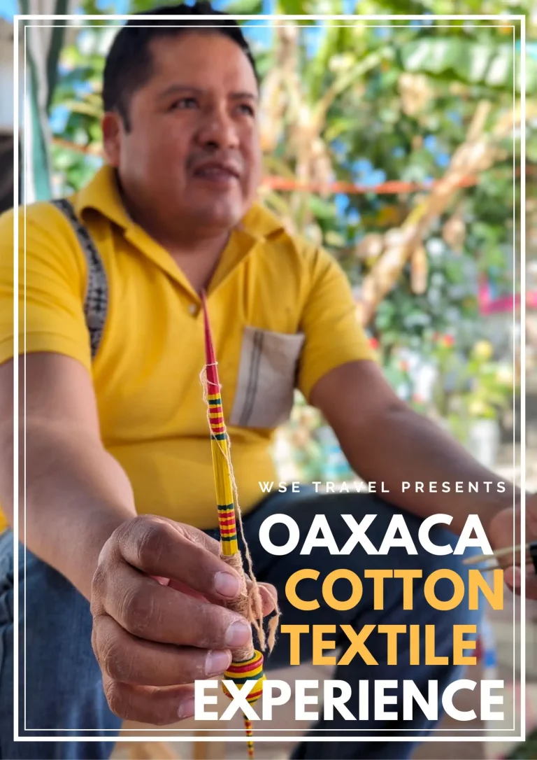 Oaxaca Cotton Textile Experience - learn cotton spinning and back-strap loom techniques