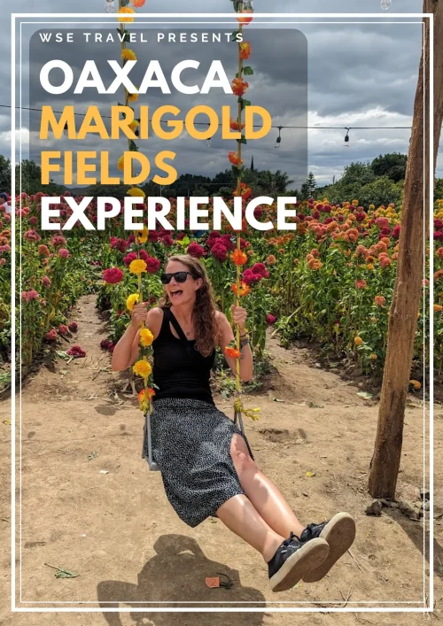 Oaxaca Day Of The Dead Marigold Experience - Visit the cempasúchil fields with a professional photo-shoot