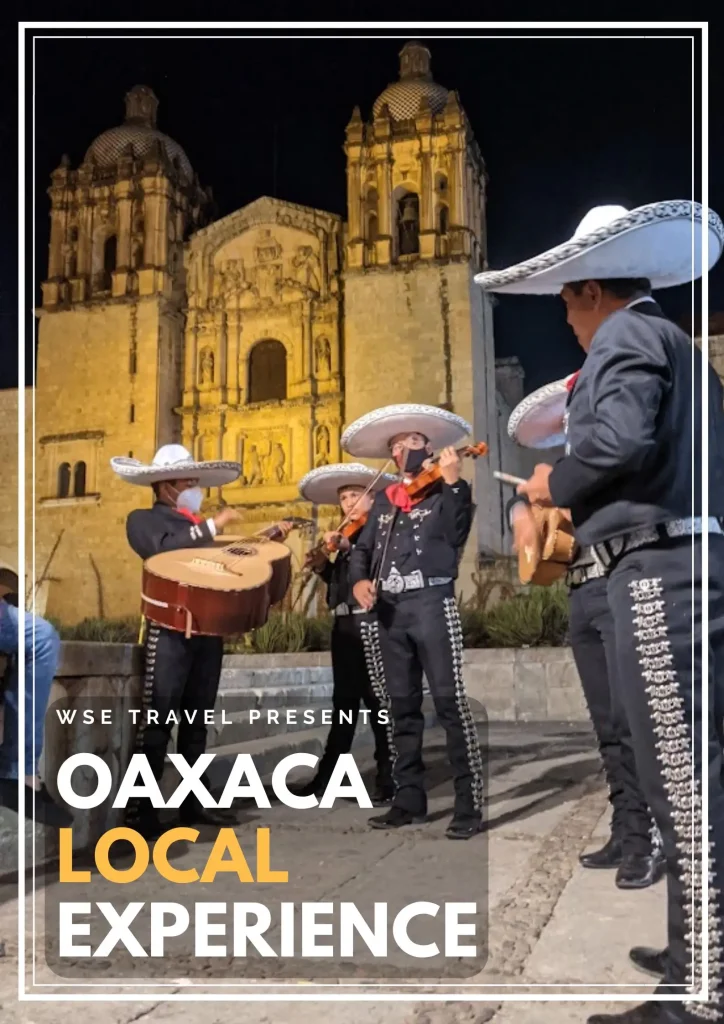 Experience Oaxaca de Juarez like a local on this private tour