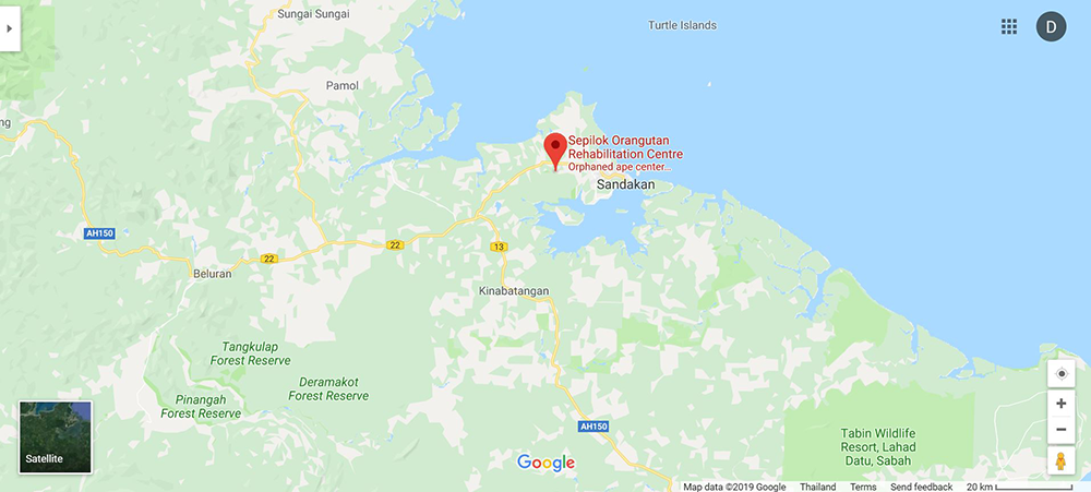 Orangutans and feeding time in Borneo – Map