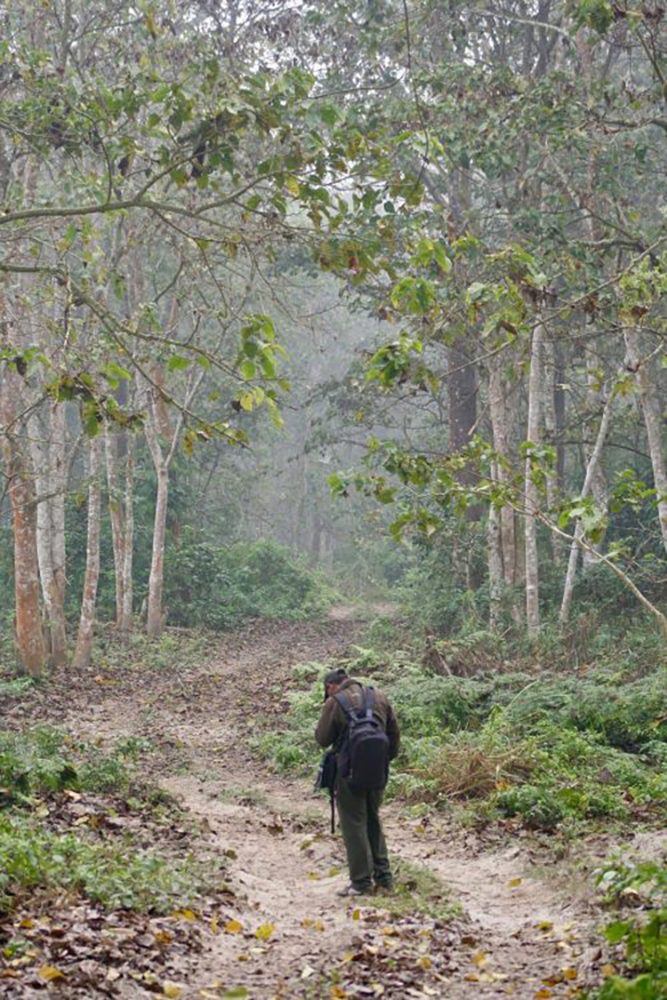 Rural Nepal Homestay in the Terai - Trekking