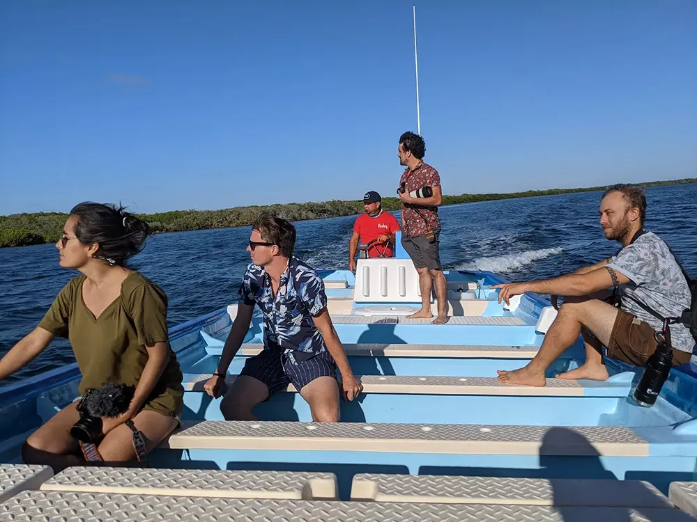 Whale Watching in Puerto Adolfo López Mateos