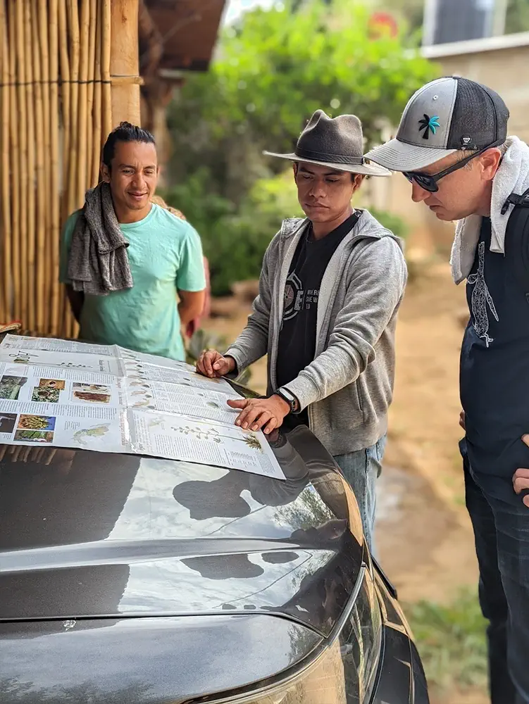 A local expert showing travellers the agave varieties behind Oaxacan mezcal