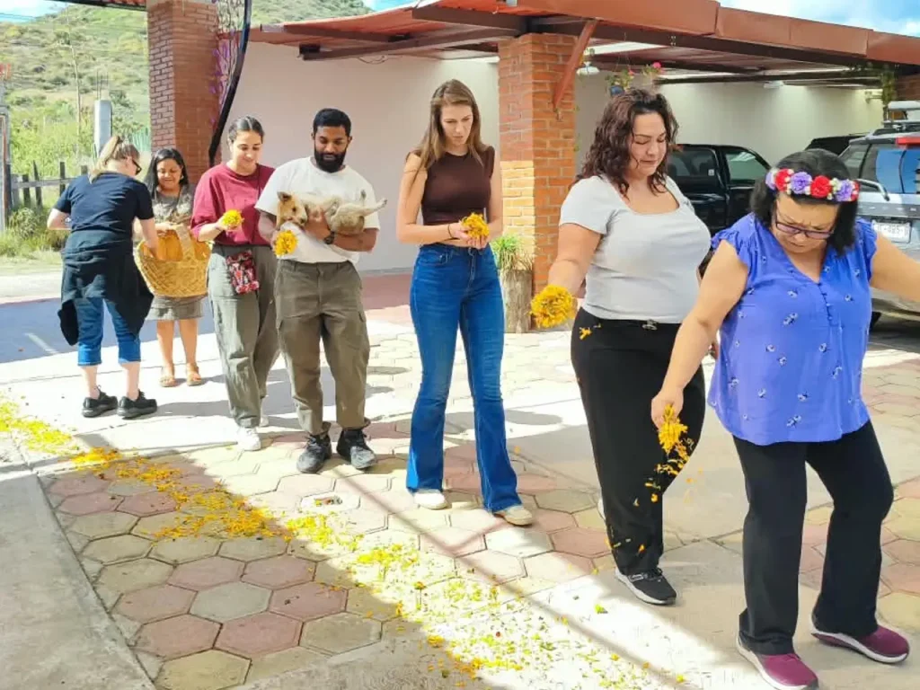 Oaxaca Day of the Dead - Teotitlan del Valle - Small group tour -teotitlan marigold paths for day of the dead