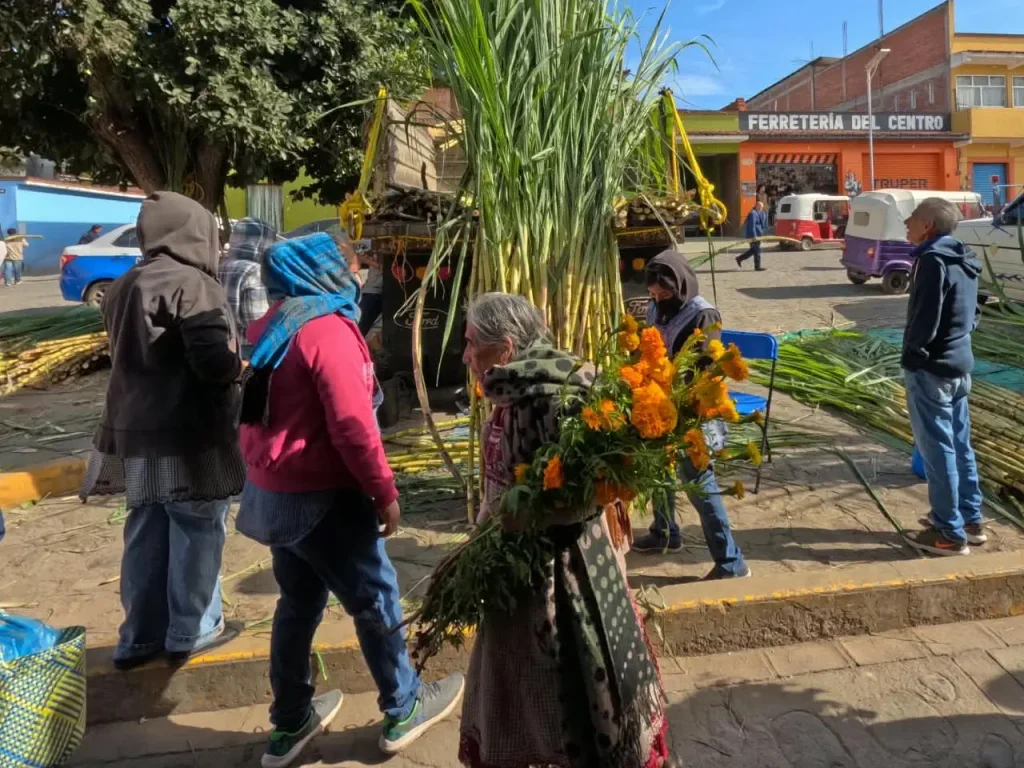 Oaxaca Day of the Dead - Teotitlan del Valle - Small group tour - teotitlan old lady carrying marigolds